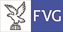 Logo FVG