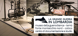 logo museo guerra bianca
